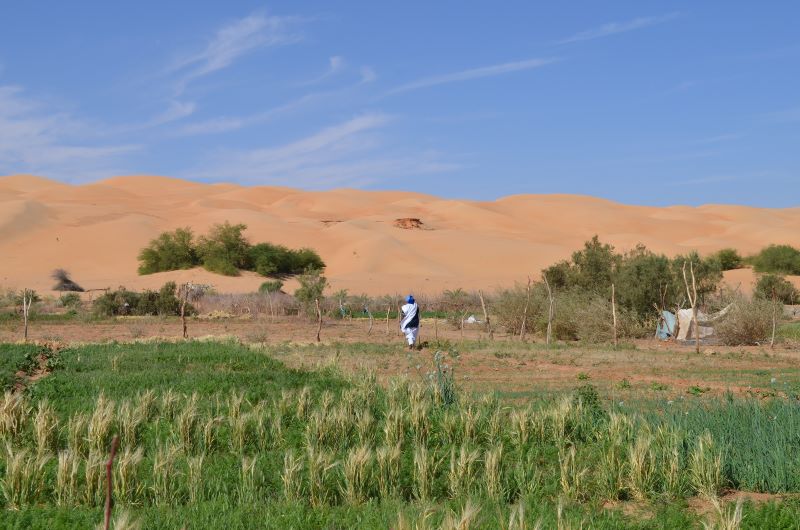 Maaden Mauritanie Pierre Rabhi