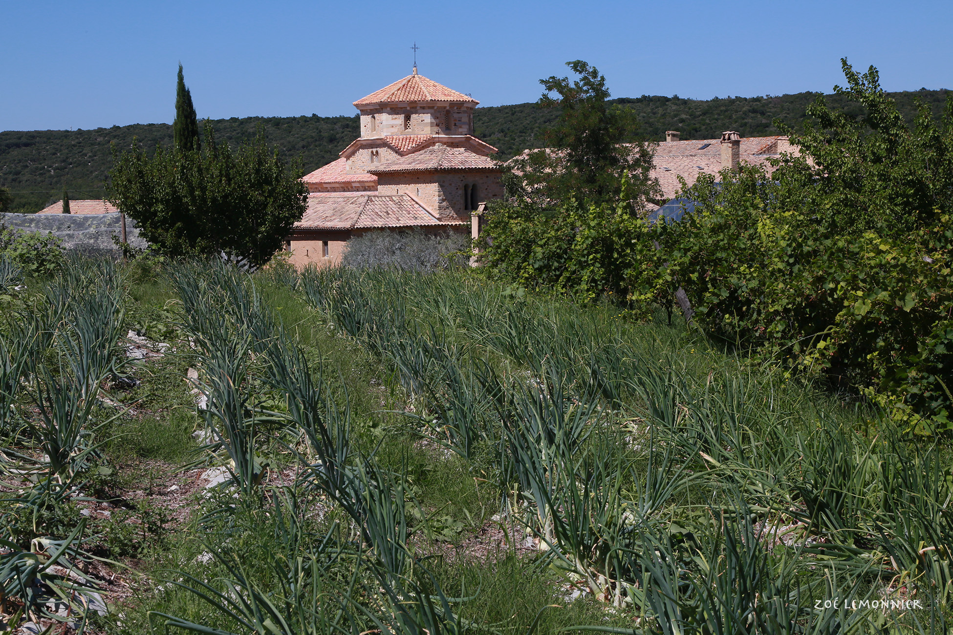 Uzes Gard monastère agriculture