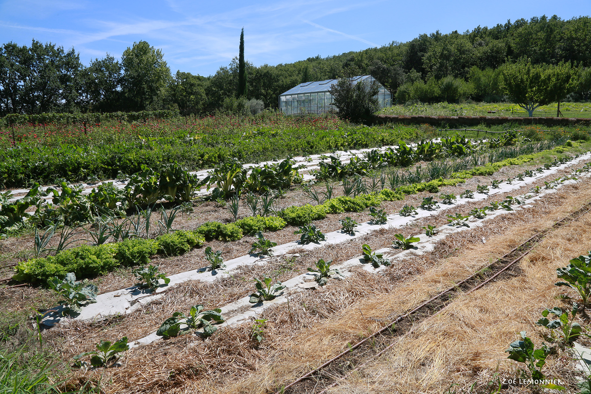 Uzes Gard monastère agriculture